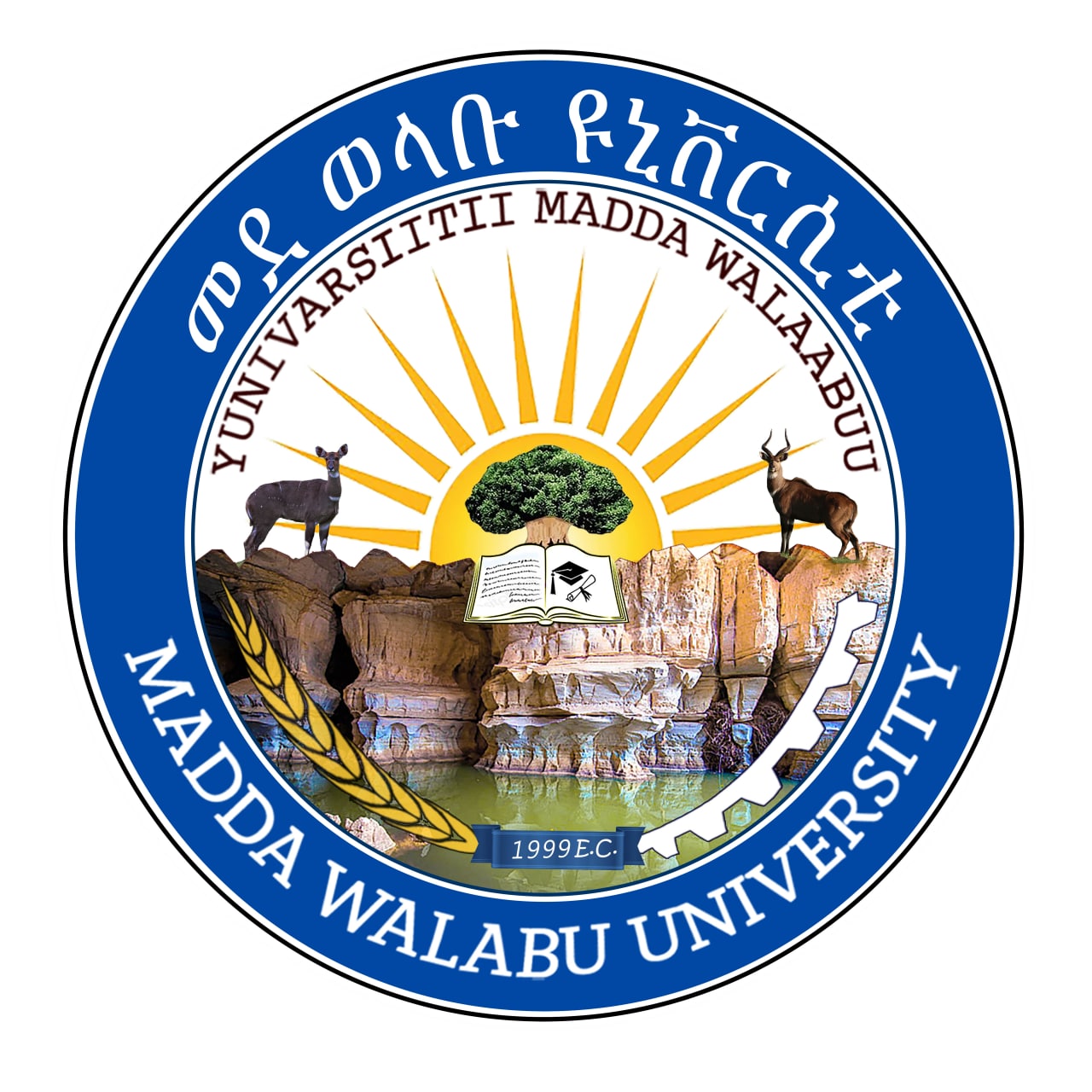 Madda Walabu University logo